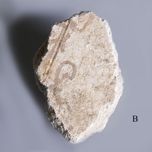 Pompeian plaster fragments b
