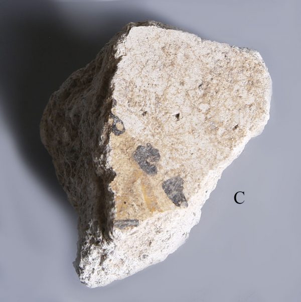 Pompeian plaster fragments c