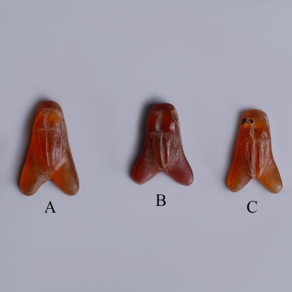 Selection of Egyptian Carnelian Fly Amulets