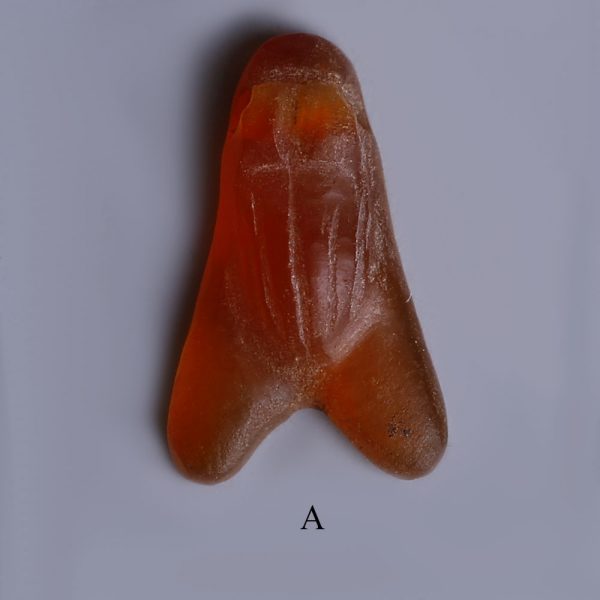selection of egyptian carnelian fly amulets a