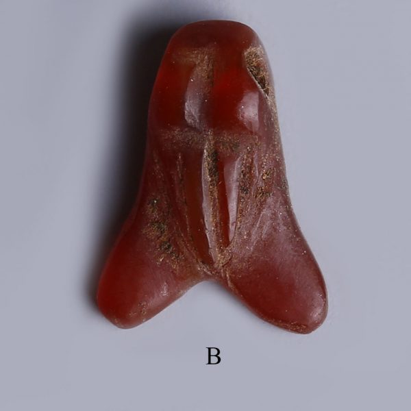 selection of egyptian carnelian fly amulets b