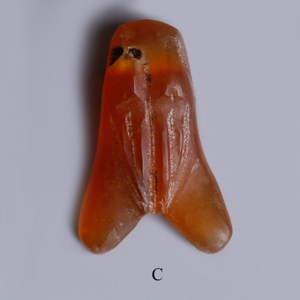 selection of egyptian carnelian fly amulets c