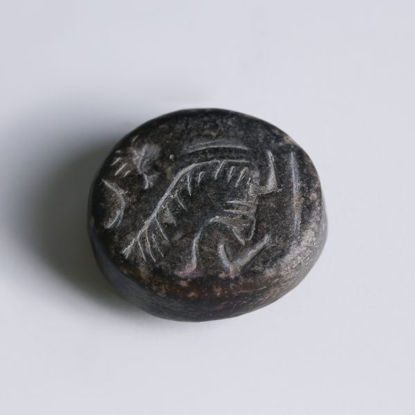 Levantine Stamp Seal with Griffin