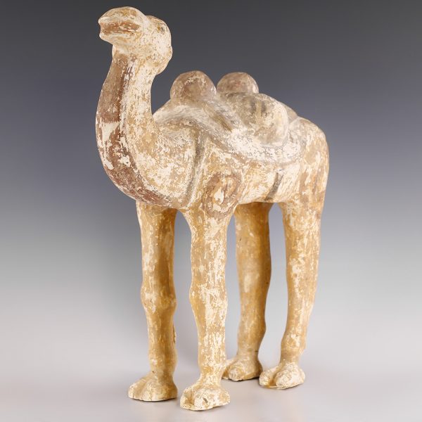 Chinese Tang Dynasty Terracotta Camel