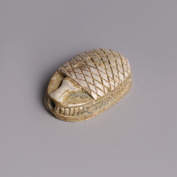 Egyptian Steatite Scarab with Geometric Patterns