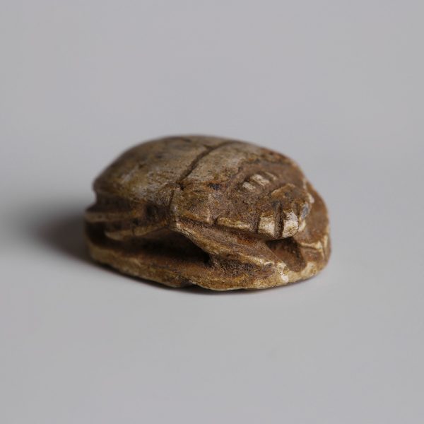 Egyptian Steatite Scarab with a Vulture and Uraeus
