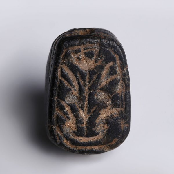 Egyptian Black Faience Scarab with Floral Designs