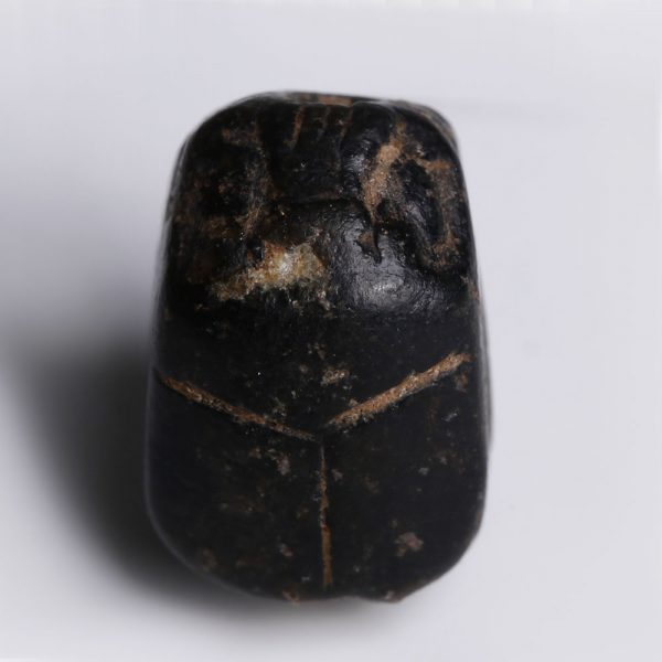 Egyptian Black Faience Scarab with Floral Designs