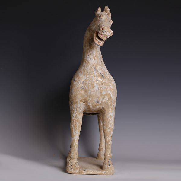 Han Polychrome Terracotta Horse Sculpture