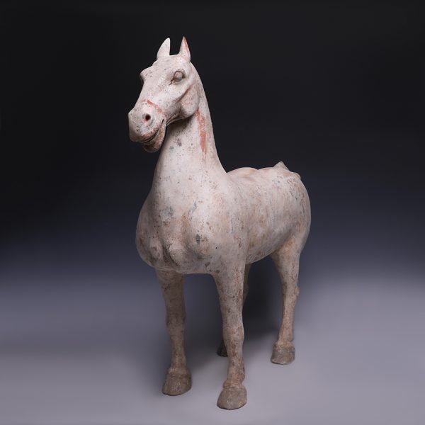 Large Han Dynasty Polychrome Terracotta Horse