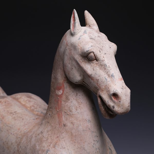 Large Han Dynasty Polychrome Terracotta Horse
