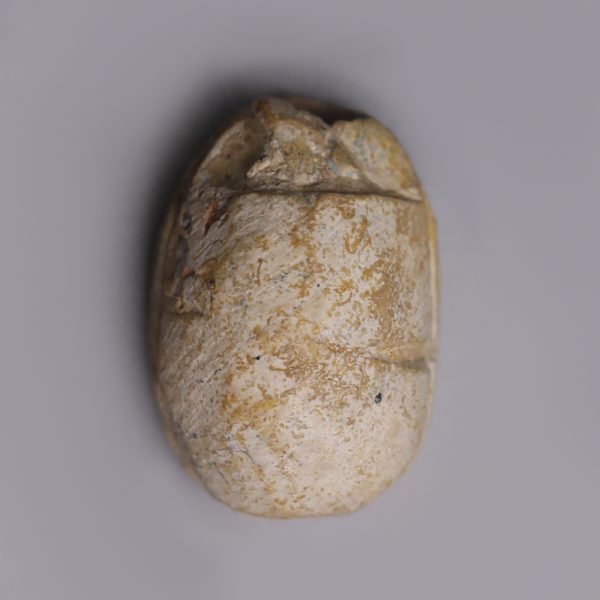 Egyptian Steatite Scarab with a Falcon