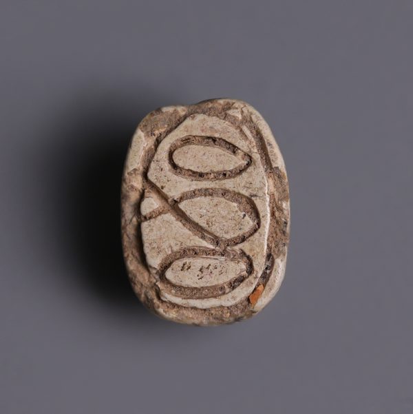 Delicate Egyptian Hyksos Period Scarab