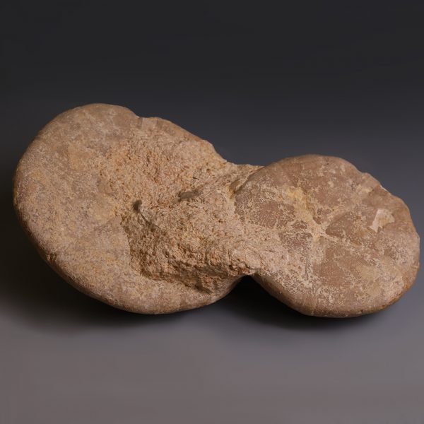 Pair of Echinoid Fossils