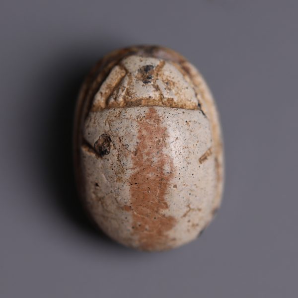 Egyptian Hyksos Period Steatite Scarab
