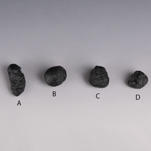 Selection of Brecciated Chondrites