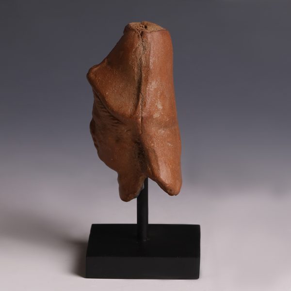 Romano-Egyptian Votive Terracotta Fragment of Minerva