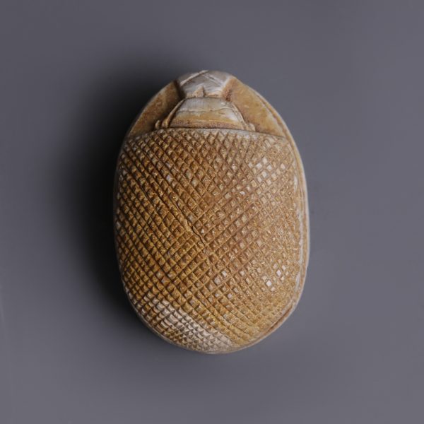Egyptian Canaanite Hedgehog-Type Steatite Scarab
