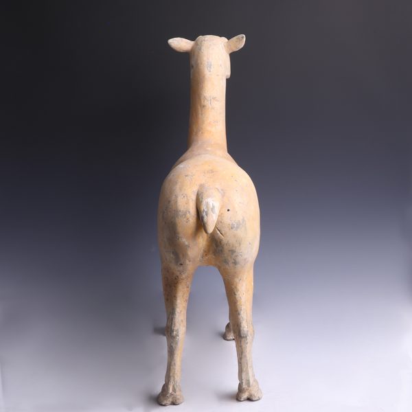 Chinese Han Dynasty Polychrome Terracotta Deer Sculpture