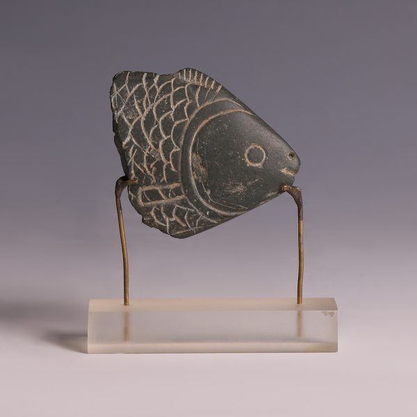 Egyptian Greywacke Cosmetic Fish Spoon Fragment