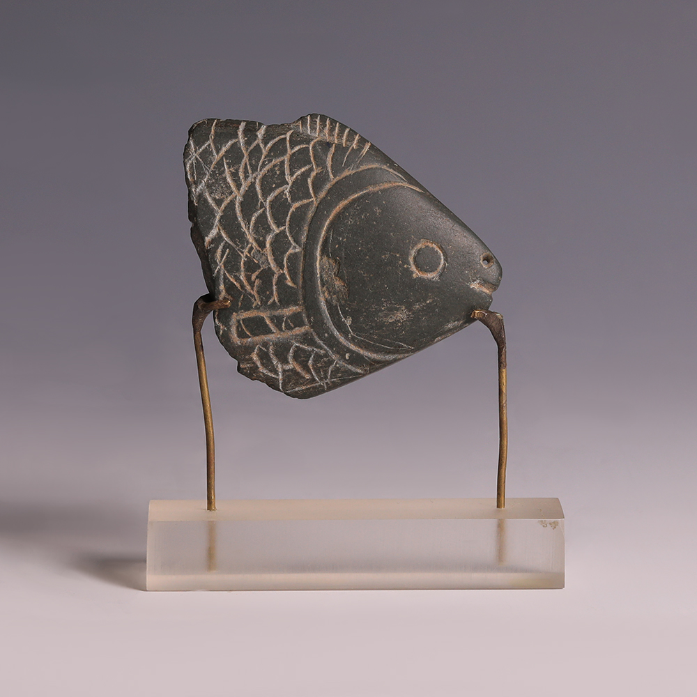 Egyptian Greywacke Cosmetic Fish Spoon Fragment graphic