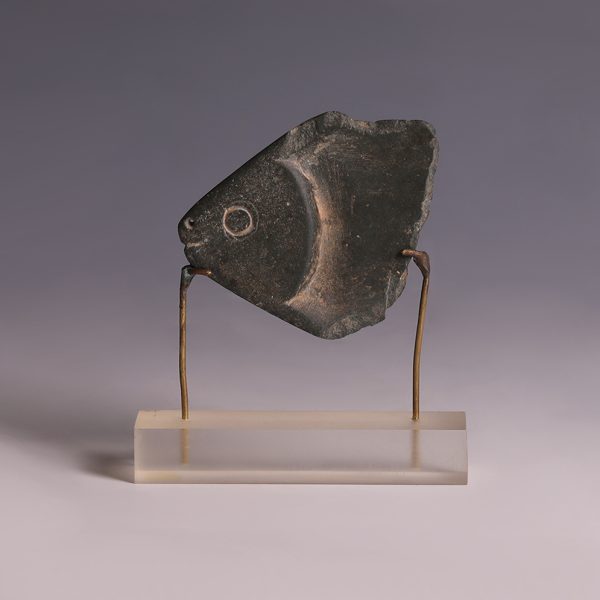 Egyptian Greywacke Cosmetic Fish Spoon Fragment