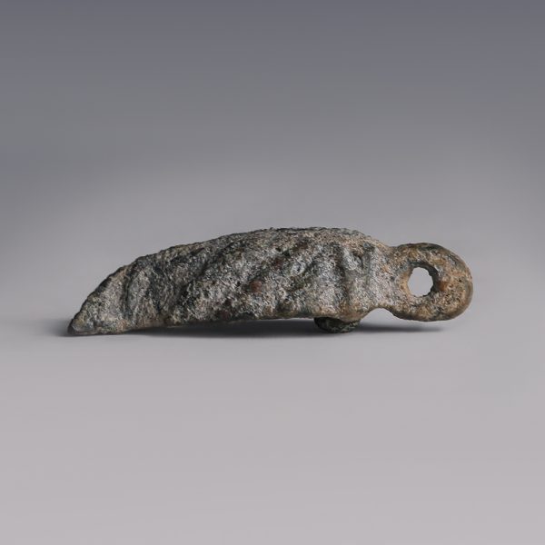 Roman Bronze Fish Vessel Lid