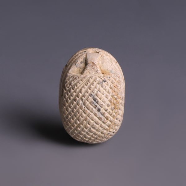 Egyptian Steatite Hedgehog-Type Scarab