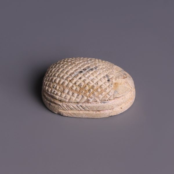 Egyptian Steatite Hedgehog-Type Scarab