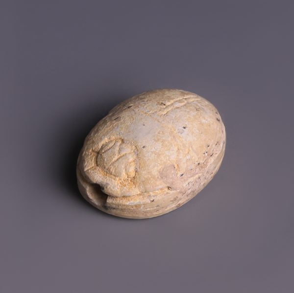 Egyptian Steatite Scarab with Crowned Falcon