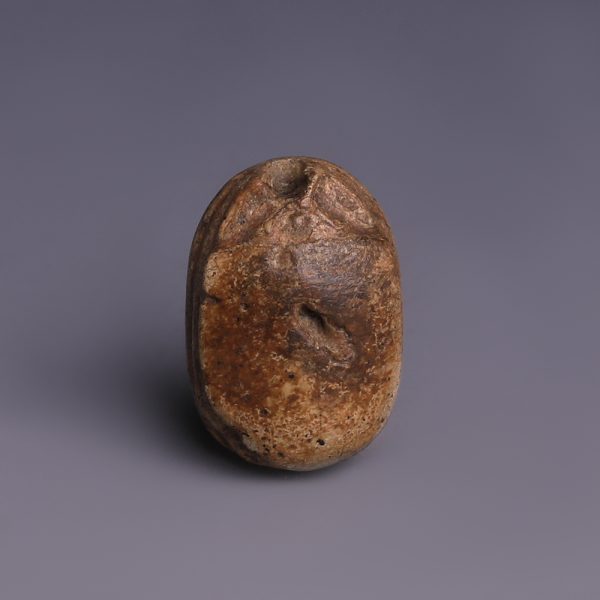 Egyptian Steatite Scarab Dedicated to Sekhaenre