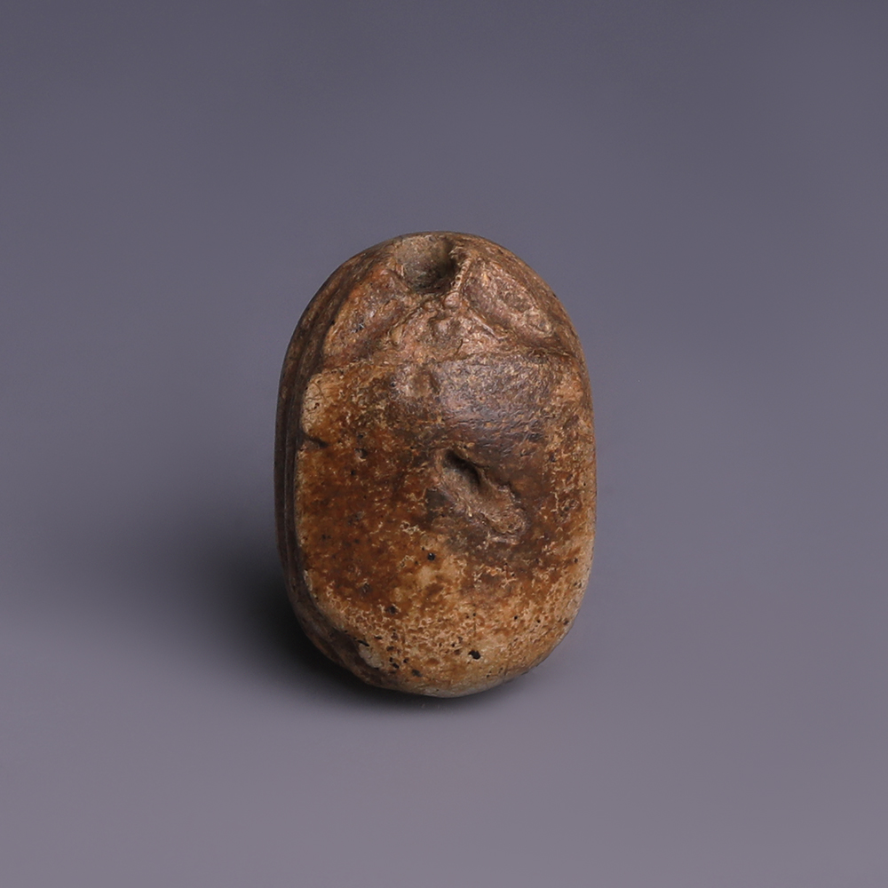 Egyptian Steatite Scarab Dedicated to Sekhaenre Egyptian Steatite Scarab Dedicated to Sekhaenre