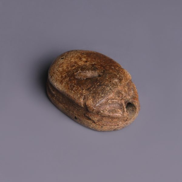 Egyptian Steatite Scarab Dedicated to Sekhaenre