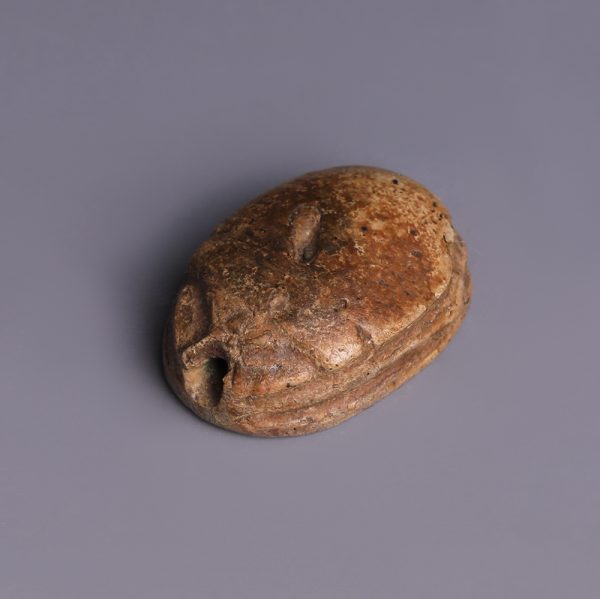 Egyptian Steatite Scarab Dedicated to Sekhaenre