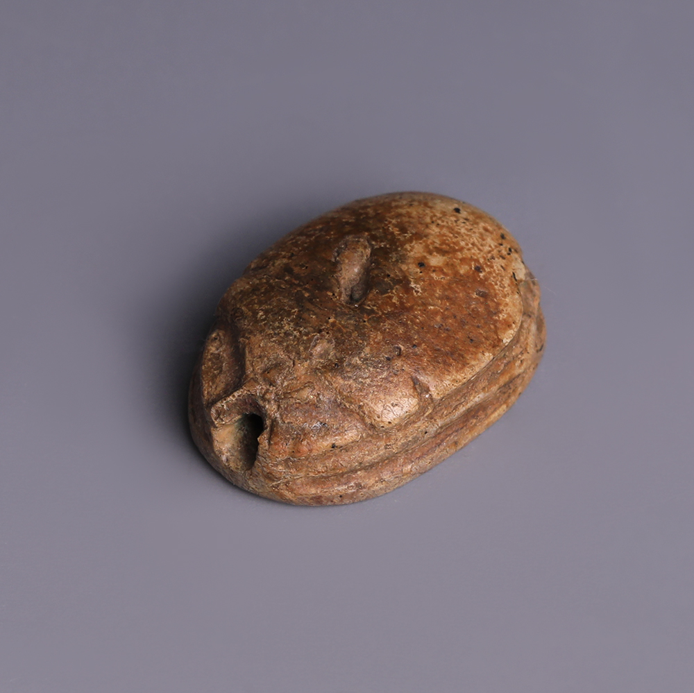 Egyptian Steatite Scarab Dedicated to Sekhaenre Egyptian Steatite Scarab Dedicated to Sekhaenre