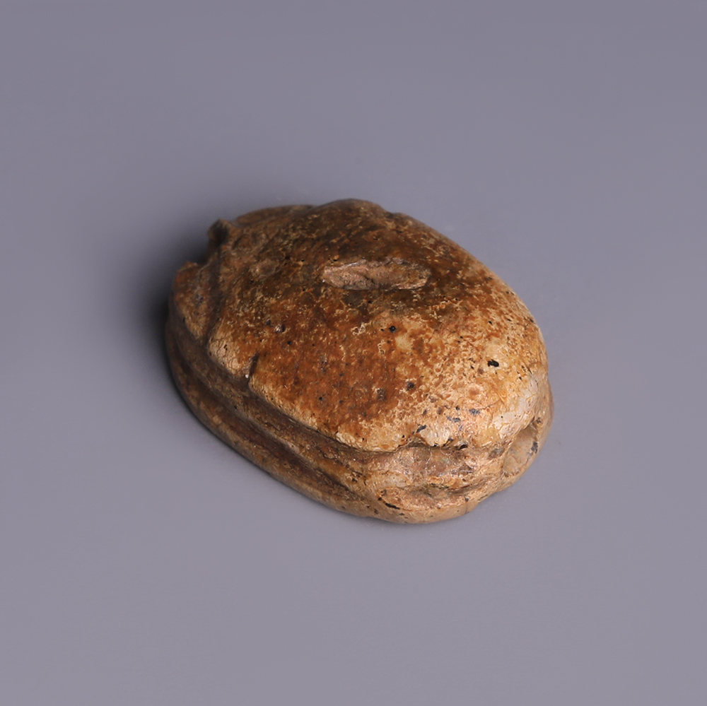 Egyptian Steatite Scarab Dedicated to Sekhaenre Egyptian Steatite Scarab Dedicated to Sekhaenre
