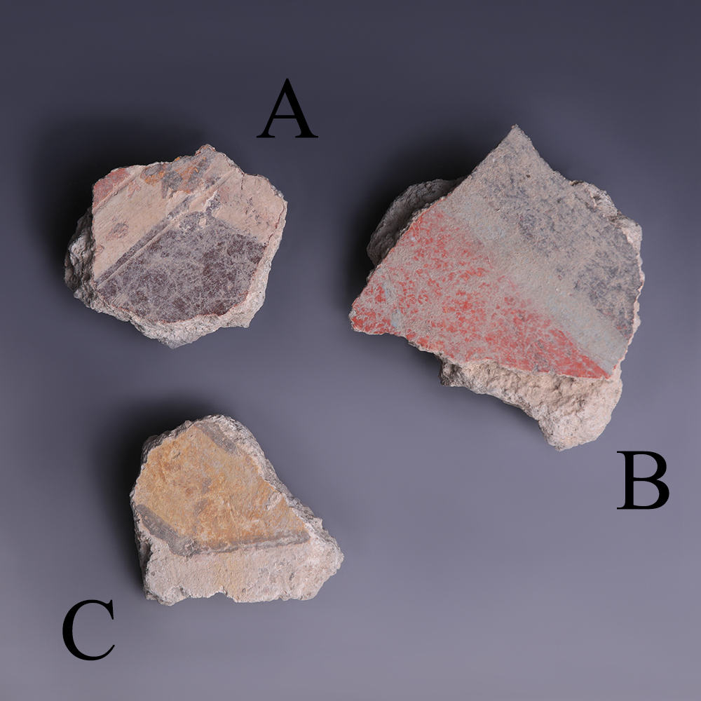 Selection of Plaster Fragments from Pompeii graphic