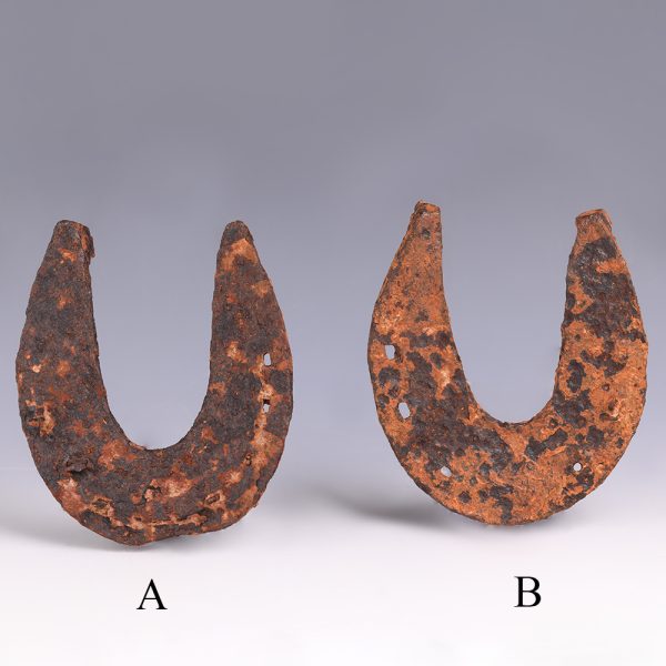 Selection of Large Ancient Roman Iron Horse Shoes