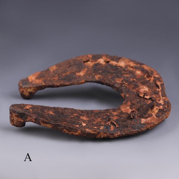 Selection of Large Ancient Roman Iron Horse Shoes