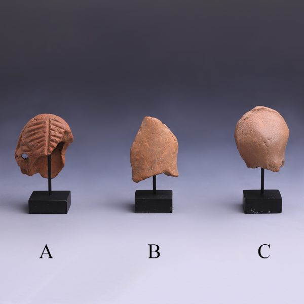 Selection of Romano-Egyptian Terracotta Heads