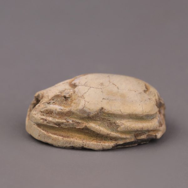 Ancient Egyptian Steatite Scarab with Decorated Base