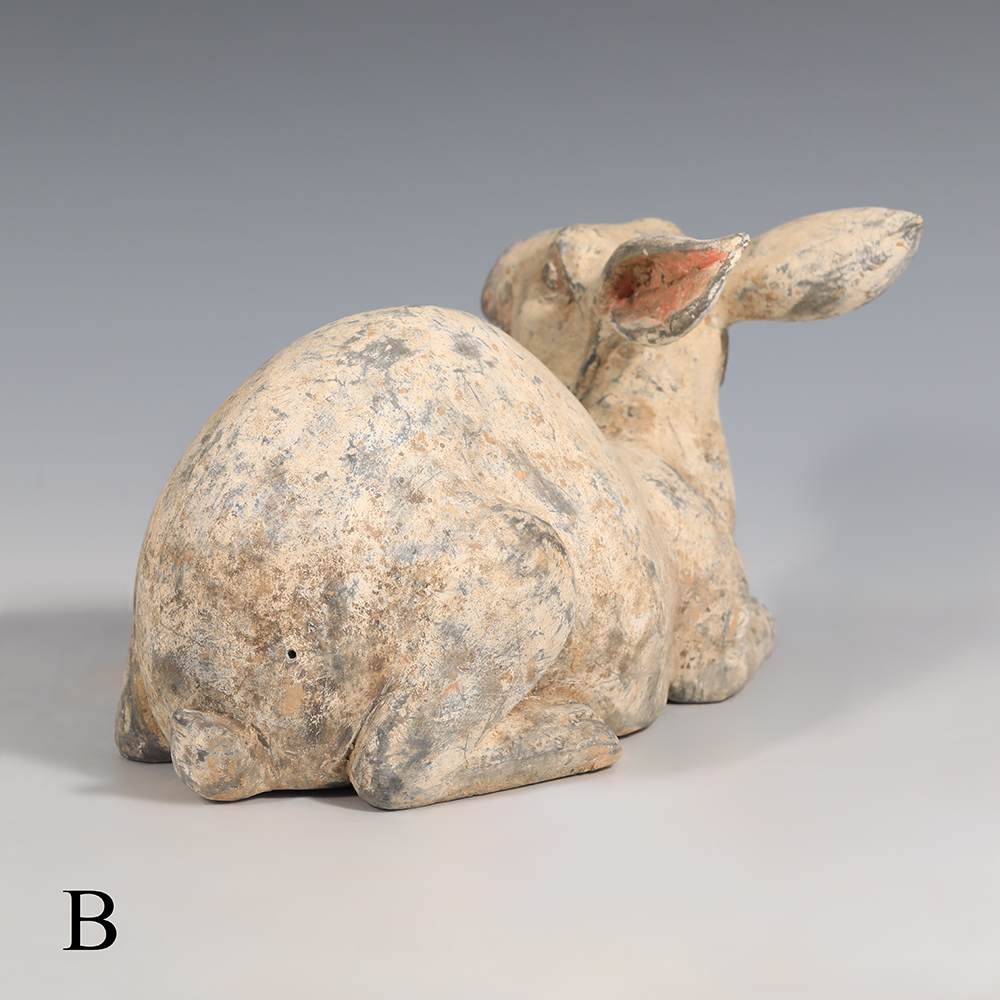 Selection of Ancient Chinese Han Dynasty Terracotta Rabbit Statues Selection of Ancient Chinese Han Dynasty Terracotta Rabbit Statues