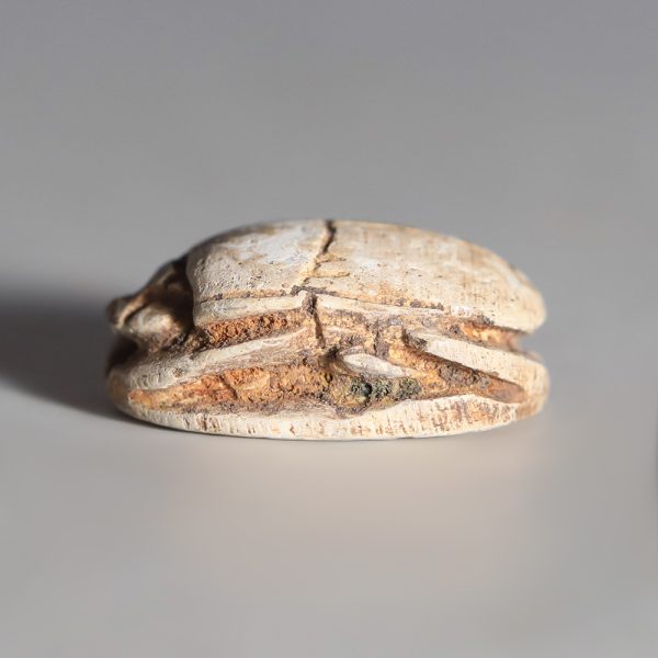 Egyptian Steatite Scarab with Concentric Circles