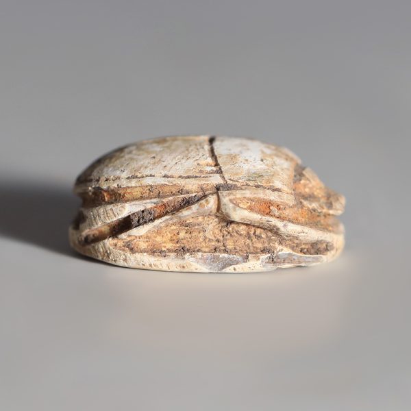 Egyptian Steatite Scarab with Concentric Circles