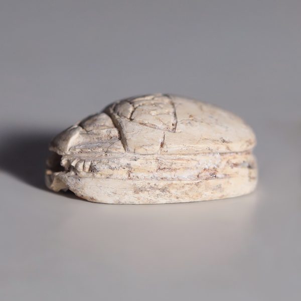 Egyptian Steatite Scarab with Scrolls