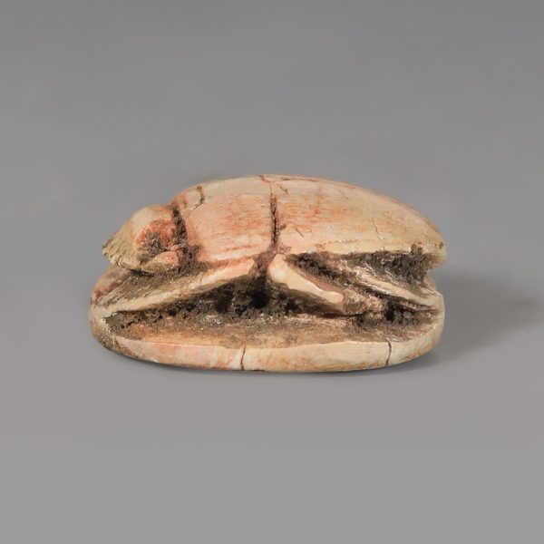 Egyptian Steatite Scarab with Uraeus