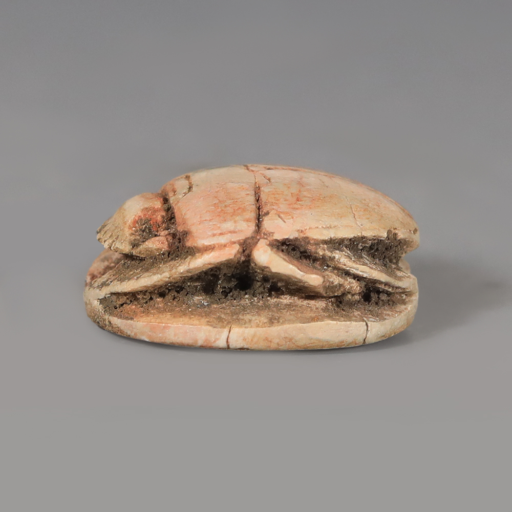 Egyptian Steatite Scarab with Uraeus Egyptian Steatite Scarab with Uraeus