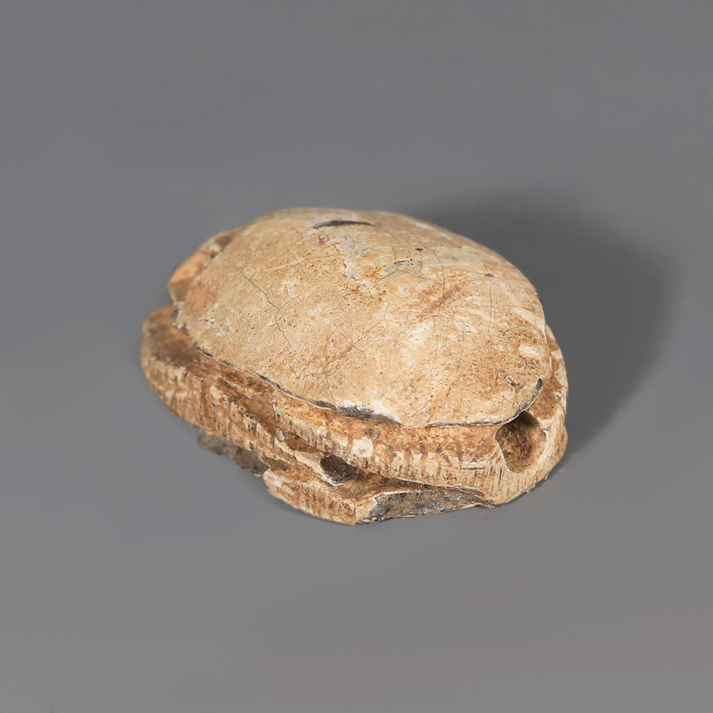Egyptian Steatite Scarab with Figure of Hapy Egyptian Steatite Scarab with Figure of Hapy