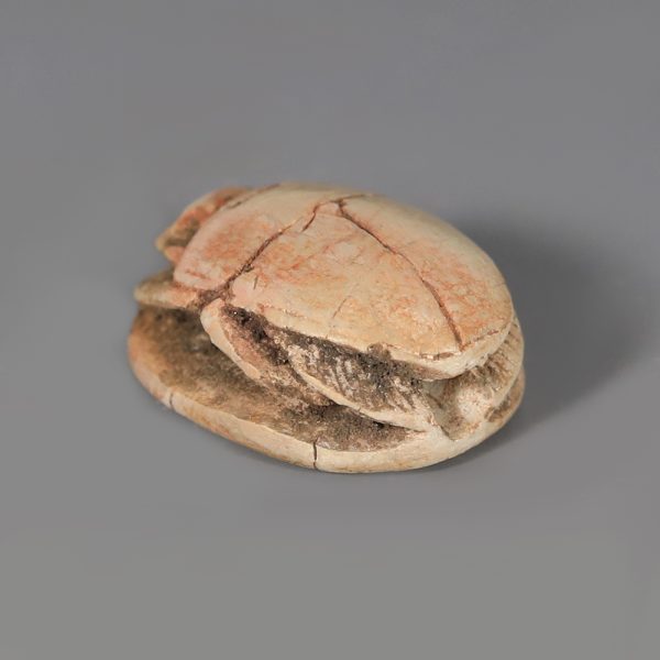 Egyptian Steatite Scarab with Uraeus