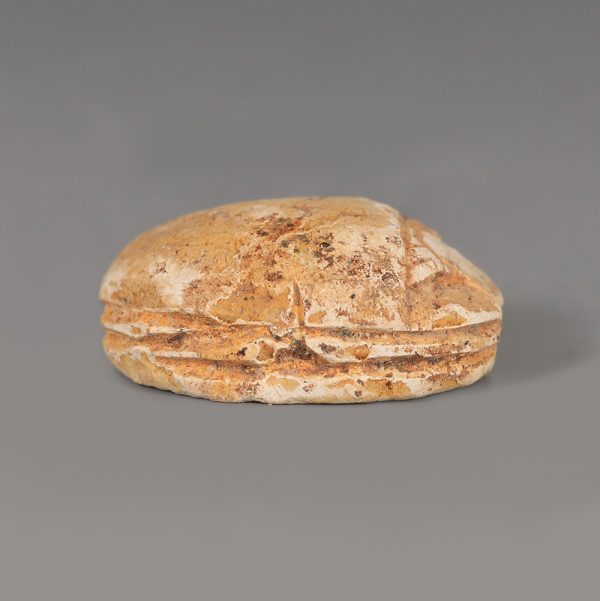 Egyptian Steatite Scarab Amulet with Winged Falcon Deity
